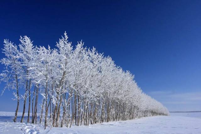 可口……呼伦贝尔草原address:杭州-海拉尔探秘雪域丨呼伦贝尔赏雪