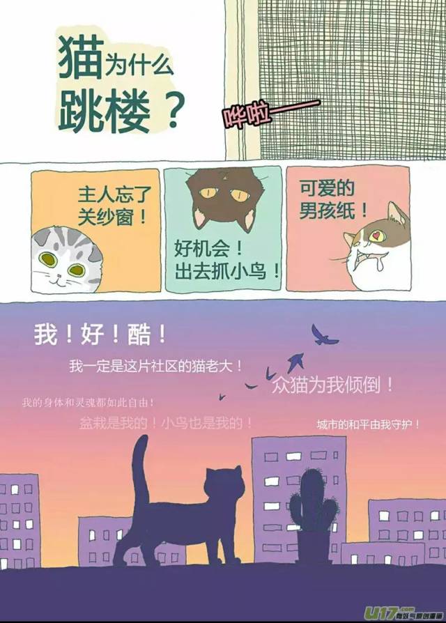 猫为什么跳楼?狗为什么摇尾巴?