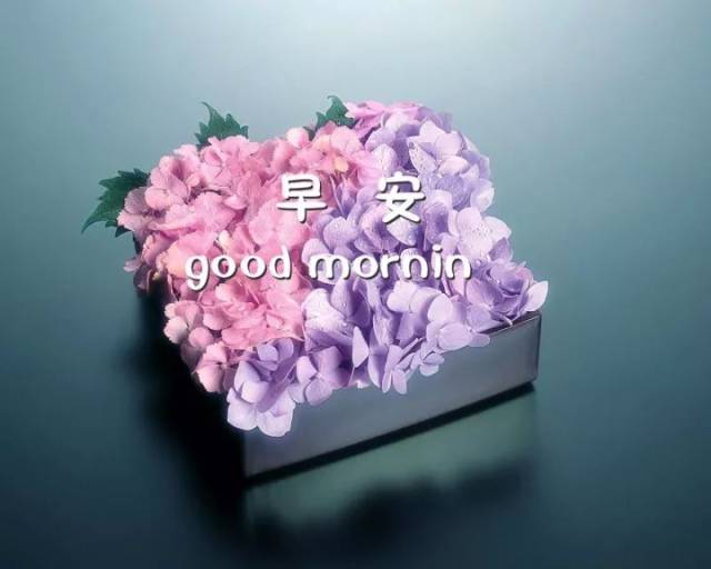 周末早安心语说说心情 早安心语图片