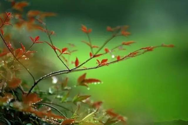 【诵·典】一场秋雨,一场凉