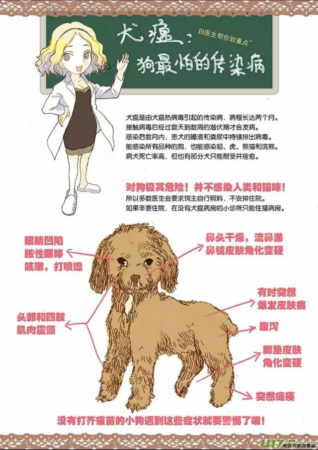 猫为什么跳楼?狗为什么摇尾巴?