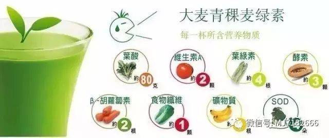 什么叫碱性环境 34b80e7541a44c38bf8121d138f4ccd5.jpeg