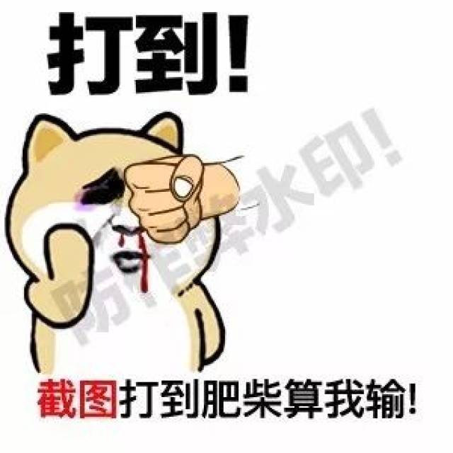 原表情包集合 表情 | 暴走的小肥柴 规则很简单,截图到这一帧就算赢