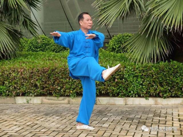 多是会练诸如前俯腰,侧俯腰,压腿,搬腿,正踢腿,里合腿,外摆腿,转胳膊