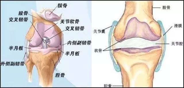 有一种膝关节损伤叫滑膜炎