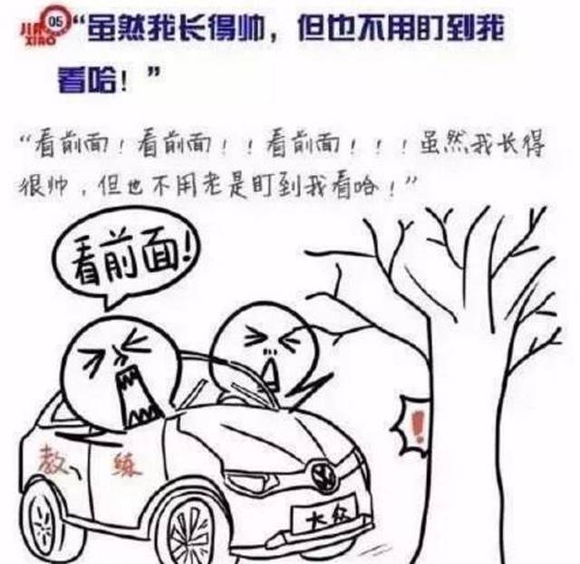 你还记得当年被考驾照支配的恐惧吗