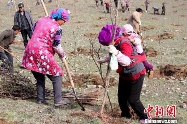 "今天所有人都来植树,我们家里人外出打工都还没回来,我也不好意思