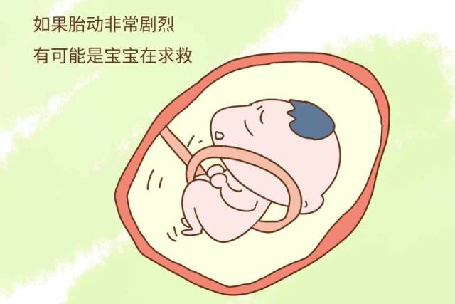 肚子动=胎动?孕妈不要忽略这个问题