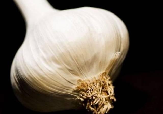 霜降后可以种大蒜吗 大蒜的种植方法