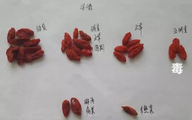7 �������֪ʶ����ʵ�������������