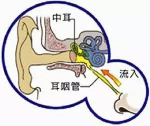 哎呀,耳朵发炎、流血、流脓怎么办哪!?