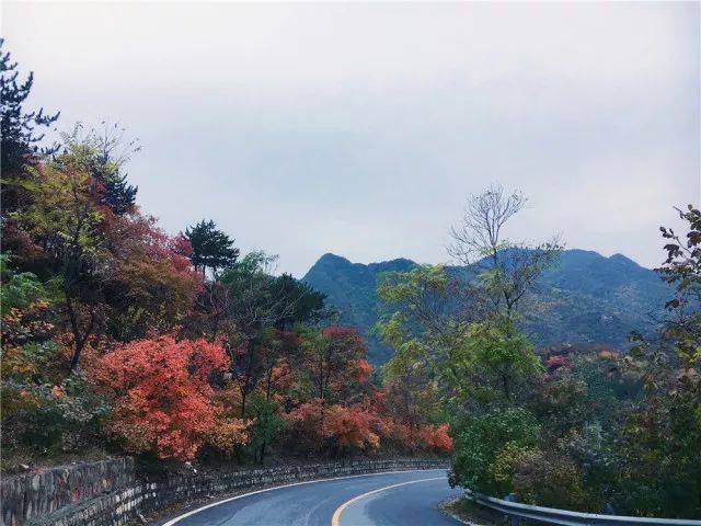在昌平看红叶 到这里就对了
