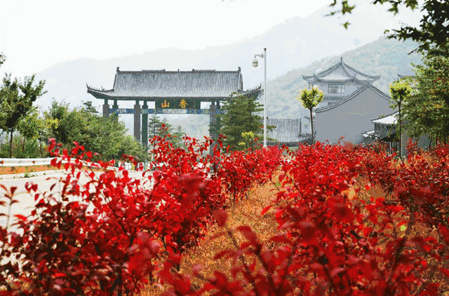 距离淄博不到100公里的地方竟有这么一片赏红叶圣地!