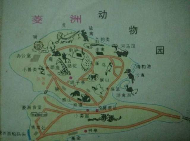 买不起房的南京人,千万别去红山动物园