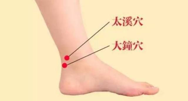 好康健百科:激活先天之本(肾),何惧疾病衰老!