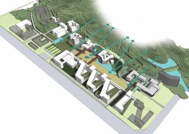 香港中文大学(深圳校区)规划设计