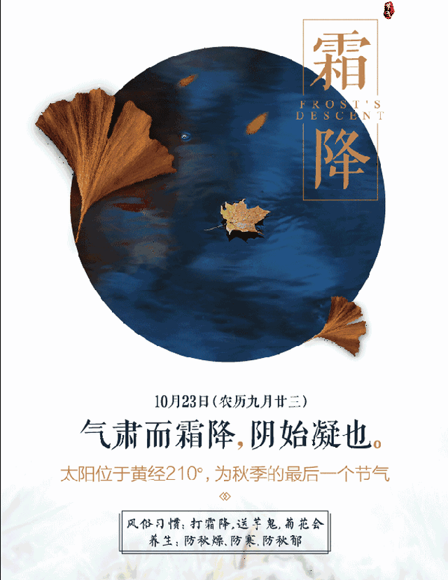 霜降:碧天静,霜满地