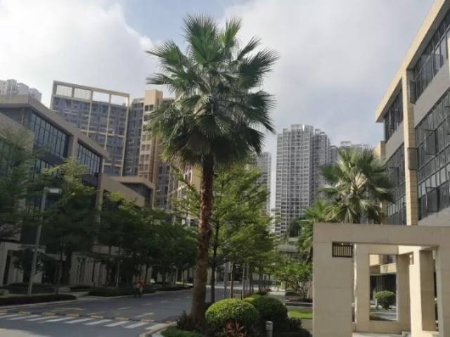 长华创意谷位于番禺大夫山国家森林公园北门边,占地面积约8万平方米