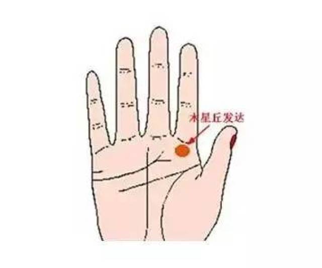 2,贸易型在小指根部的水星丘与无名指根部的太阳丘之间如出现十字纹