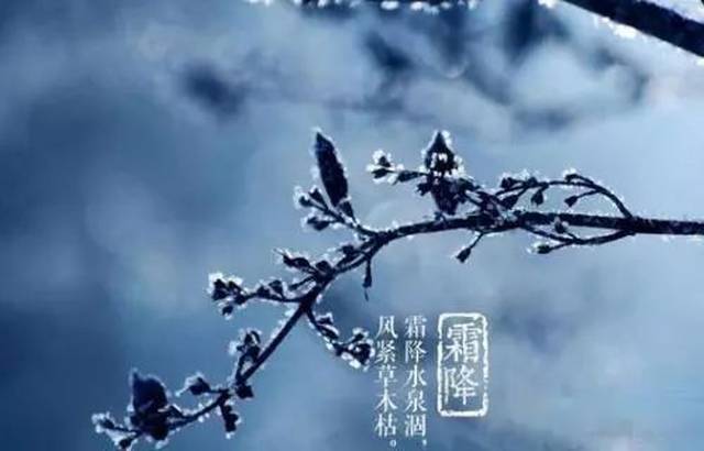 霜降已至|深秋柳陌露凝霜,衰草疏疏碧水凉