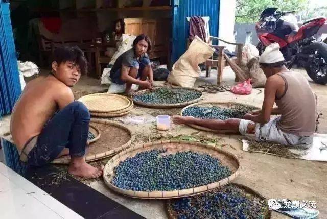 尼泊尔金刚菩提的套路只有你想不到:夹板、脚踩、虫盘、玉化液..