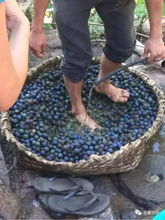 尼泊尔金刚菩提的套路只有你想不到:夹板、脚踩、虫盘、玉化液..