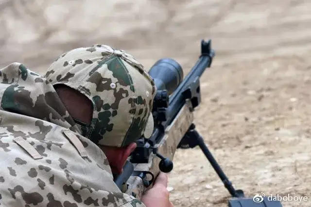德国的g22狙击步枪是可以安装机械瞄具的