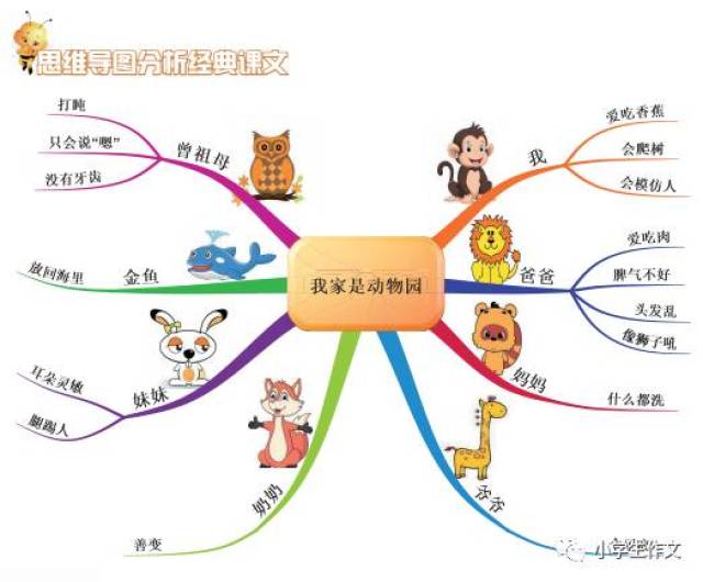 作者利用思维导图的"树枝图"的方式来拓展思路,用《我家是动物园》为