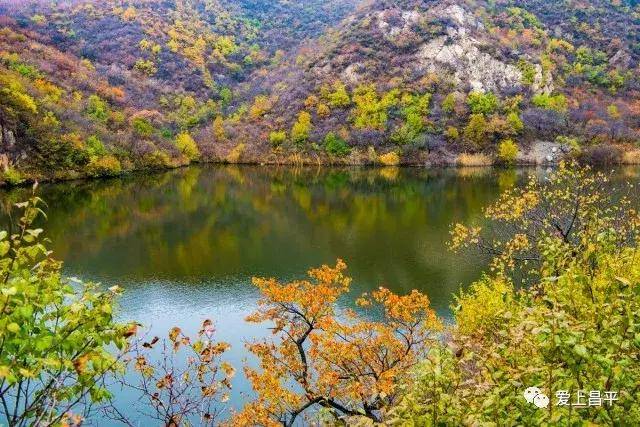 步道最远端的黄花坡景区海拔1400余米, 属昌平区最高峰,有北京"小