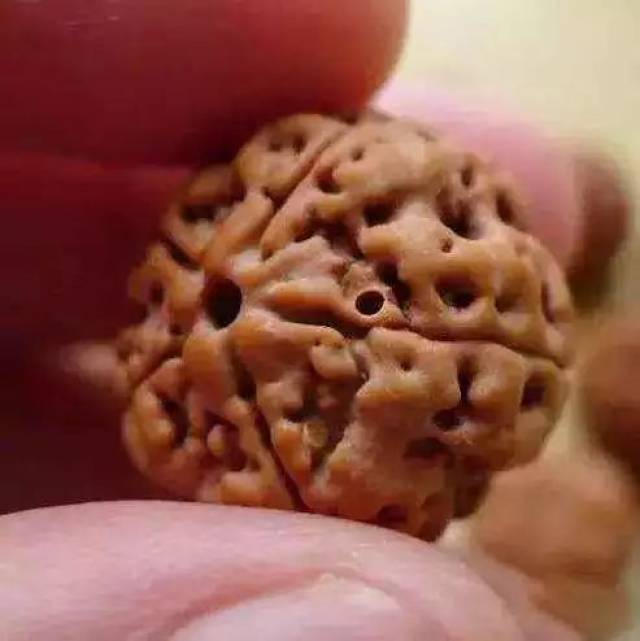 尼泊尔金刚菩提的套路只有你想不到:夹板、脚踩、虫盘、玉化液..