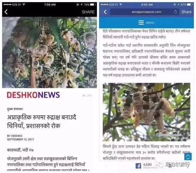 尼泊尔金刚菩提的套路只有你想不到:夹板、脚踩、虫盘、玉化液..