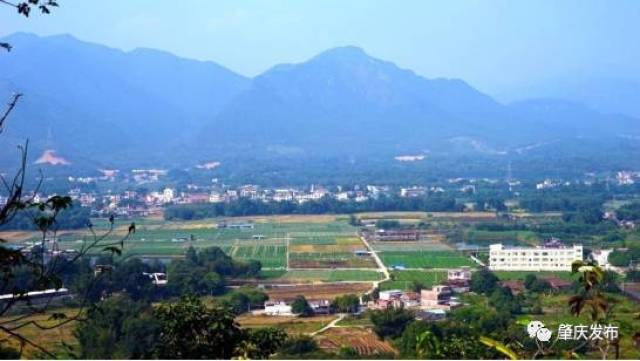 肇庆市林业局供图 依托丰富的生态旅游资源,以促进城镇绿色发展,壮大