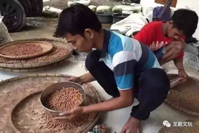 尼泊尔金刚菩提的套路只有你想不到:夹板、脚踩、虫盘、玉化液..