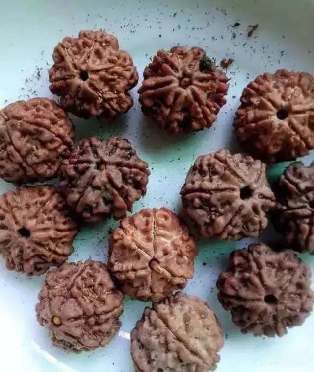 尼泊尔金刚菩提的套路只有你想不到:夹板、脚踩、虫盘、玉化液..