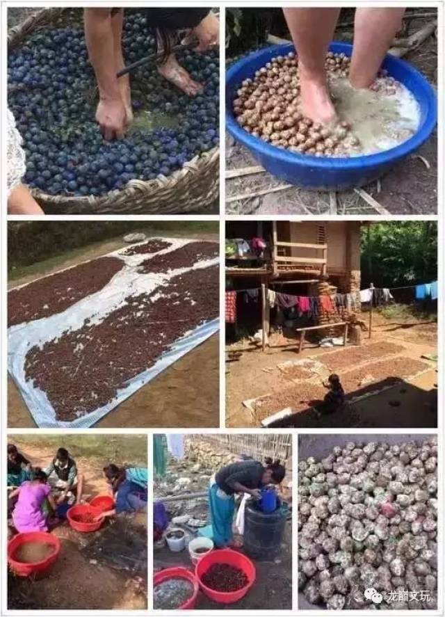 尼泊尔金刚菩提的套路只有你想不到:夹板、脚踩、虫盘、玉化液..