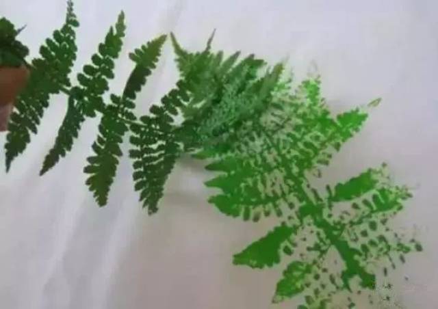 印染自然,把花草变成艺术,植物拓印活动要开课啦!