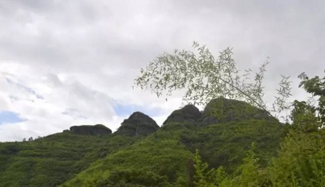 梅花推荐 帽峰山 帽峰山位于乐昌市梅花镇,海拔1344米.