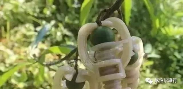 尼泊尔金刚菩提的套路只有你想不到:夹板、脚踩、虫盘、玉化液..