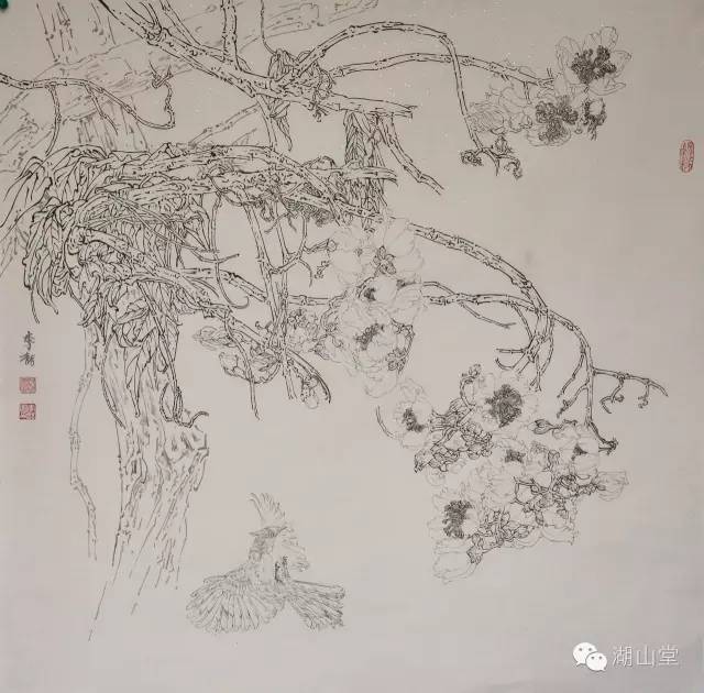 第一周 第二周 线描示范讲解,工笔画线条的基本知识和基本技法.