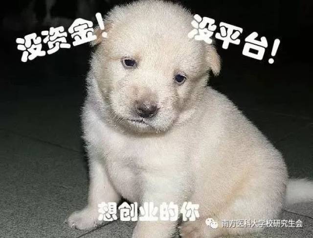 【挑战杯】研究生也来一波创业潮