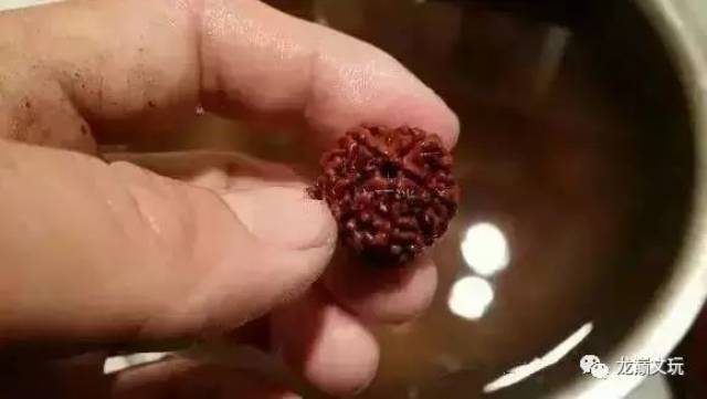 尼泊尔金刚菩提的套路只有你想不到:夹板、脚踩、虫盘、玉化液..