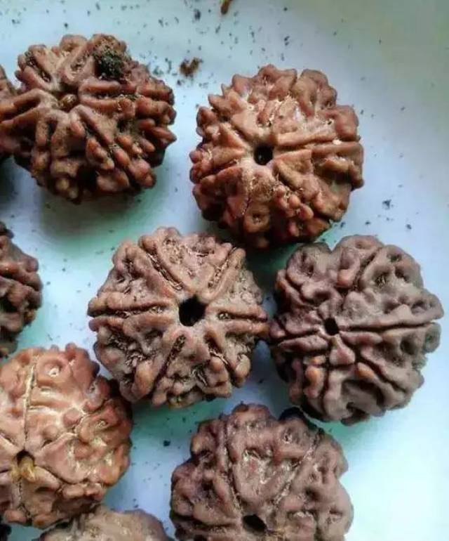 尼泊尔金刚菩提的套路只有你想不到:夹板、脚踩、虫盘、玉化液..