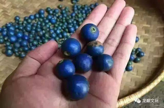 尼泊尔金刚菩提的套路只有你想不到:夹板、脚踩、虫盘、玉化液..