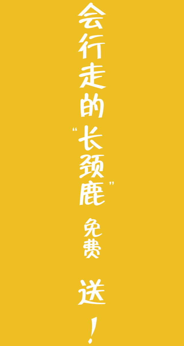 (福利干货文,你们会越看越兴奋)