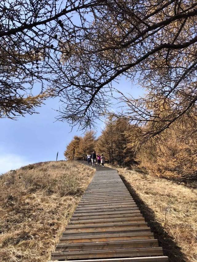 饮马池秋景 咱岚县饮马池的美众人皆知 现在深秋时节 饮马池更是美的