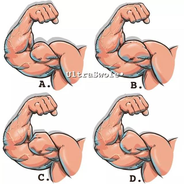 经常发一些我们很难注意到的对比 比如4种肱二头肌,你是哪种?