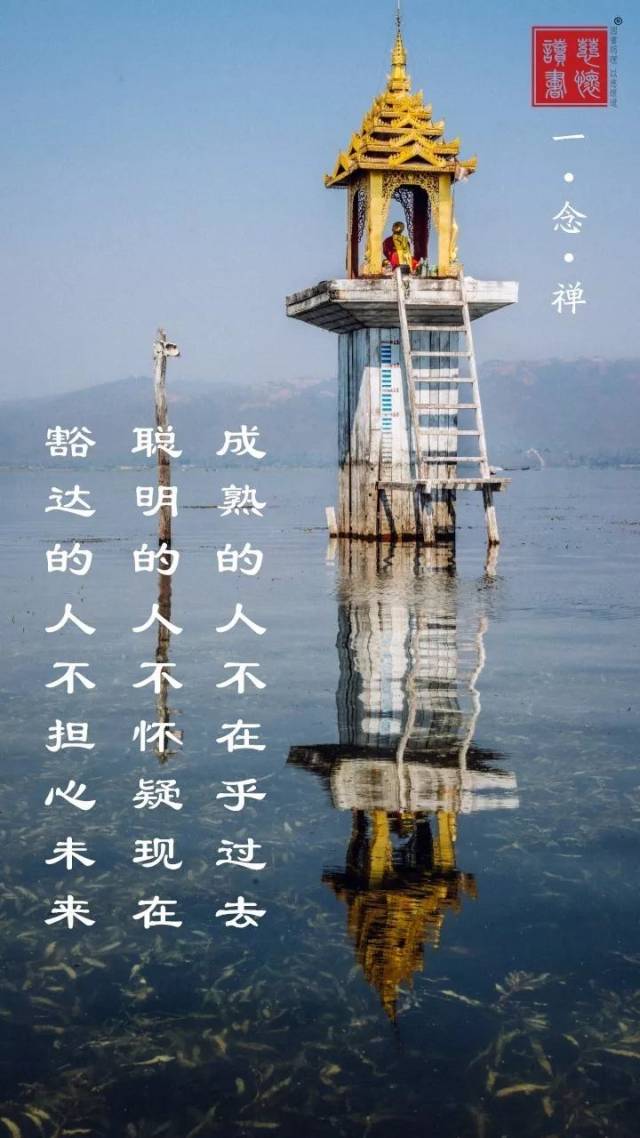 听一听禅乐 静一静身心