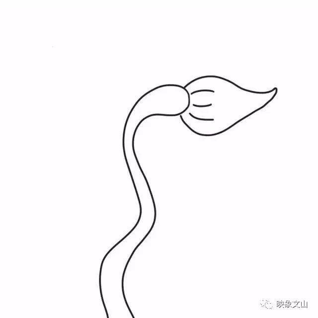 69085454374d453da59dafa1858d854a.jpeg