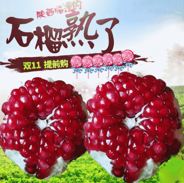 陕4惠购|