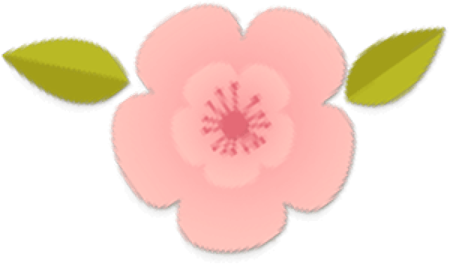 【重磅】“今日芜湖”粉丝大福利:瑜伽、茶道、育婴、护肤美容...13门课统统免费!!!